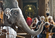 TAMIL NADU