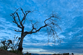 CORDILLERA ARAVALLIS