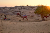 DERSIERTO THAR