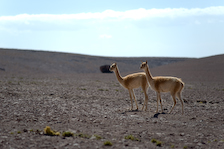 PASO DE JAMA